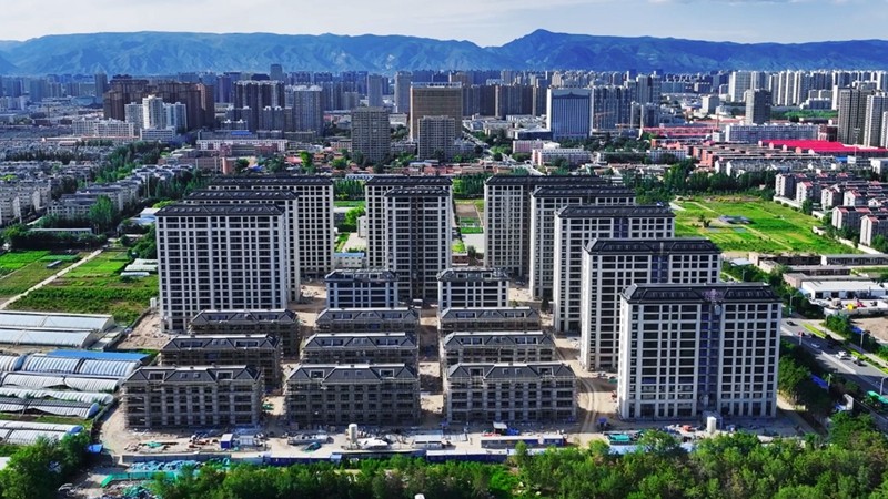 鳯起和鸣实拍图
