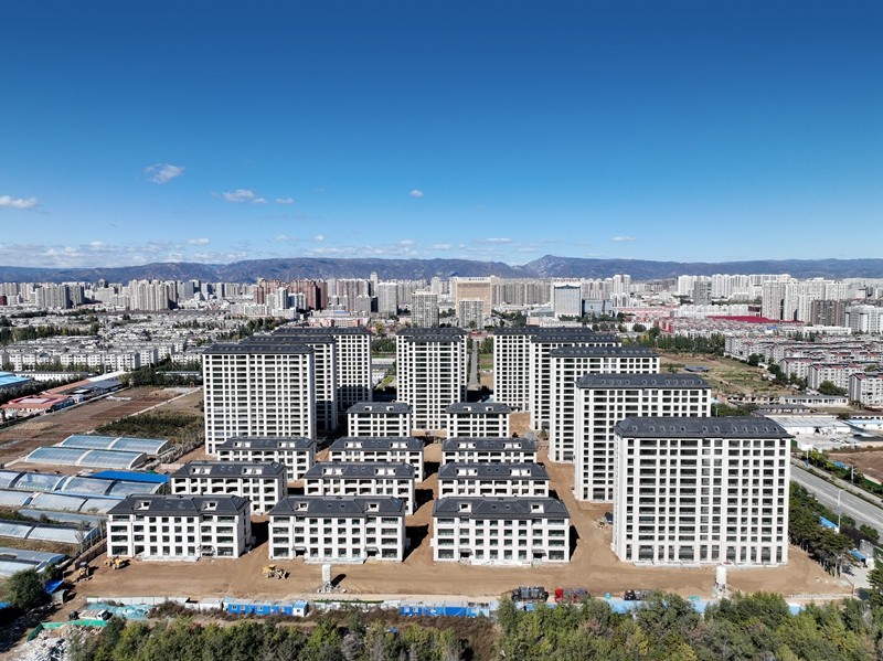 鳯起和鸣实拍图、