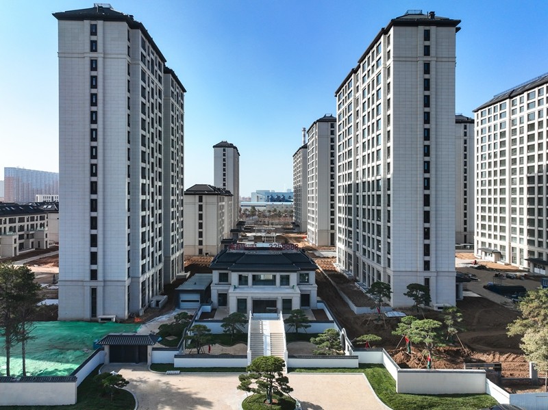 鳯起和鸣实拍图